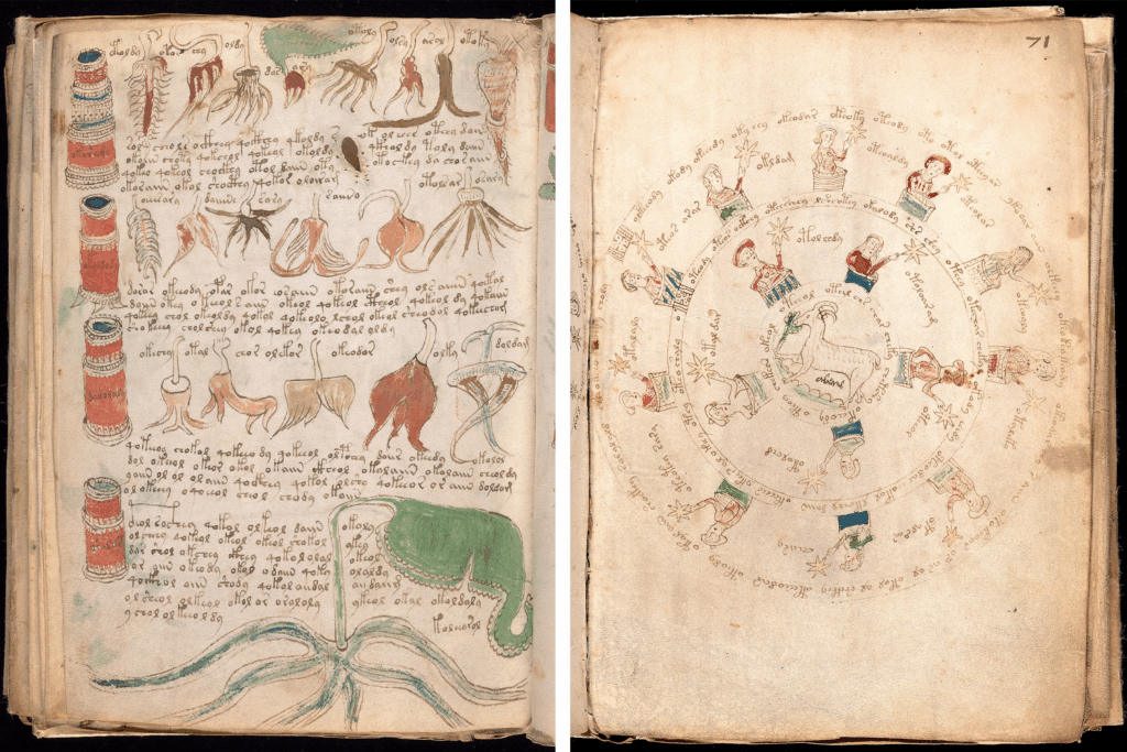 Voynich Manuscript