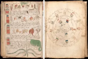 The Voynich Manuscript